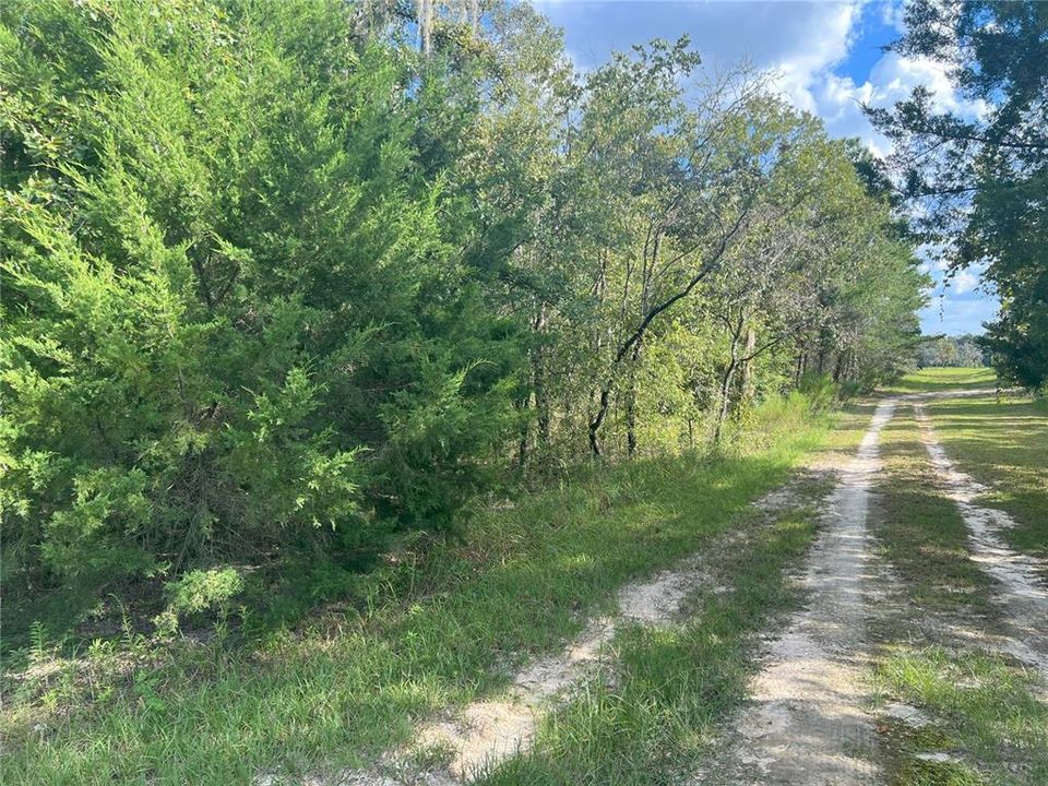 Recently Sold: $40,000 (1.20 acres)