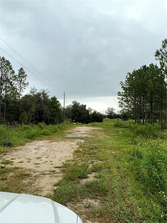 Not a picture of the lot but to the road leading into the undeveloped area.