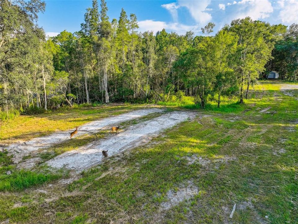 For Sale: $1,650,000 (30.70 acres)