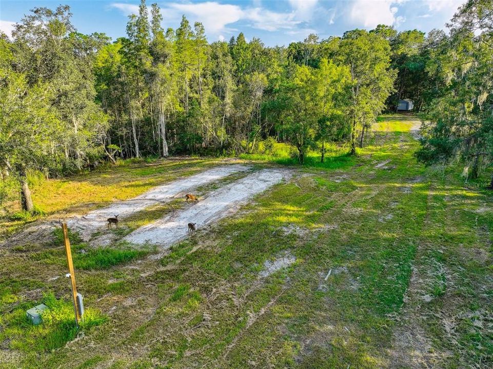 For Sale: $1,700,000 (30.70 acres)