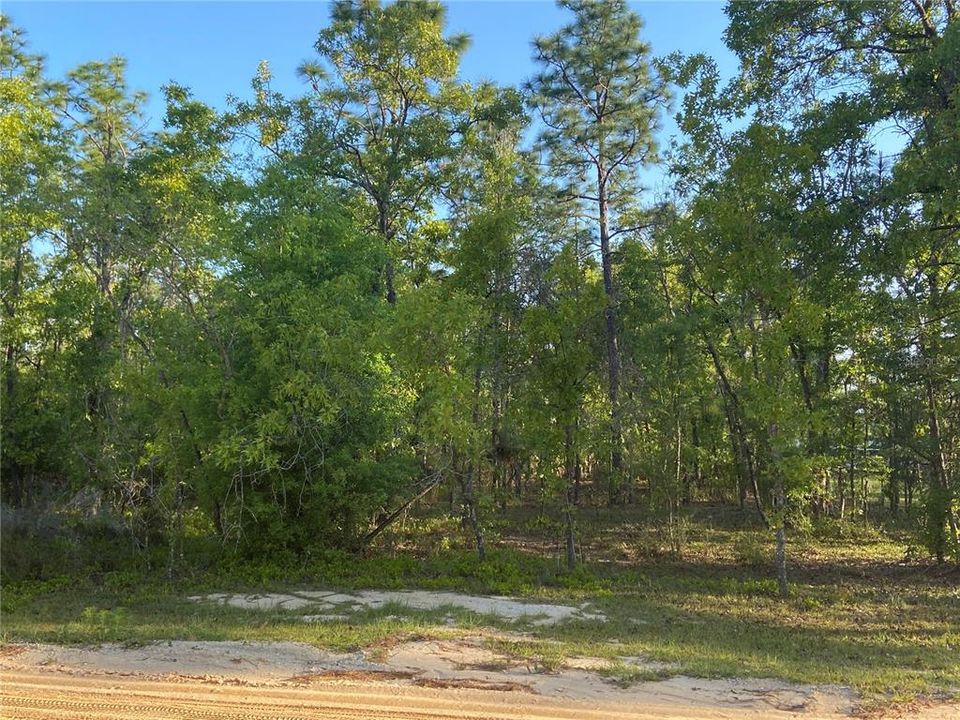 Recently Sold: $69,000 (2.63 acres)