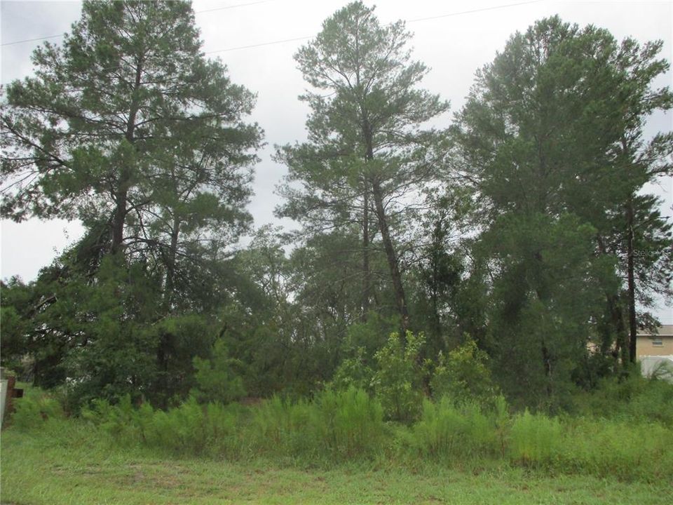 Recently Sold: $44,900 (0.24 acres)