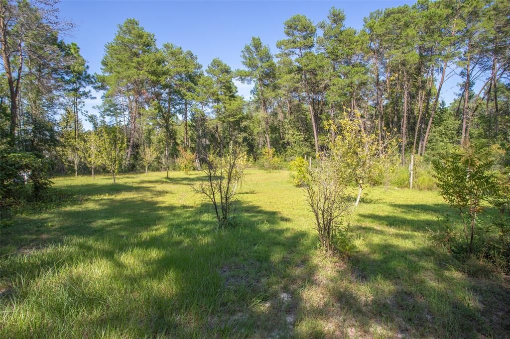 Recently Sold: $65,000 (2.56 acres)