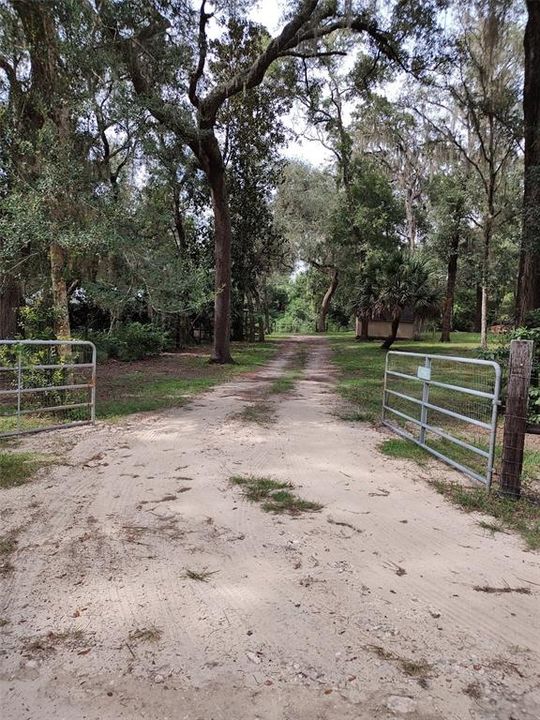 Looking up driveway