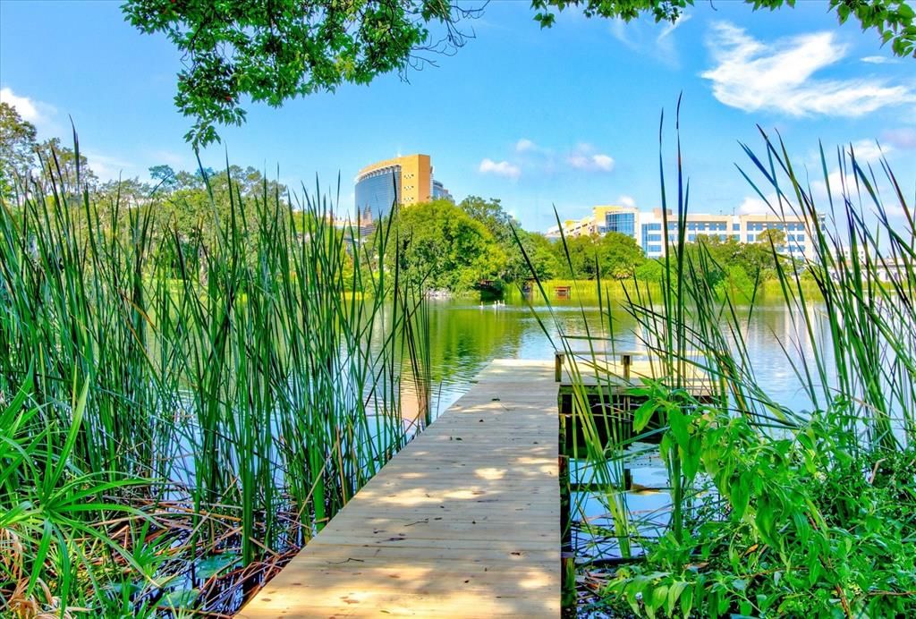 Paddle board, fish, bird watch, it's up to you.