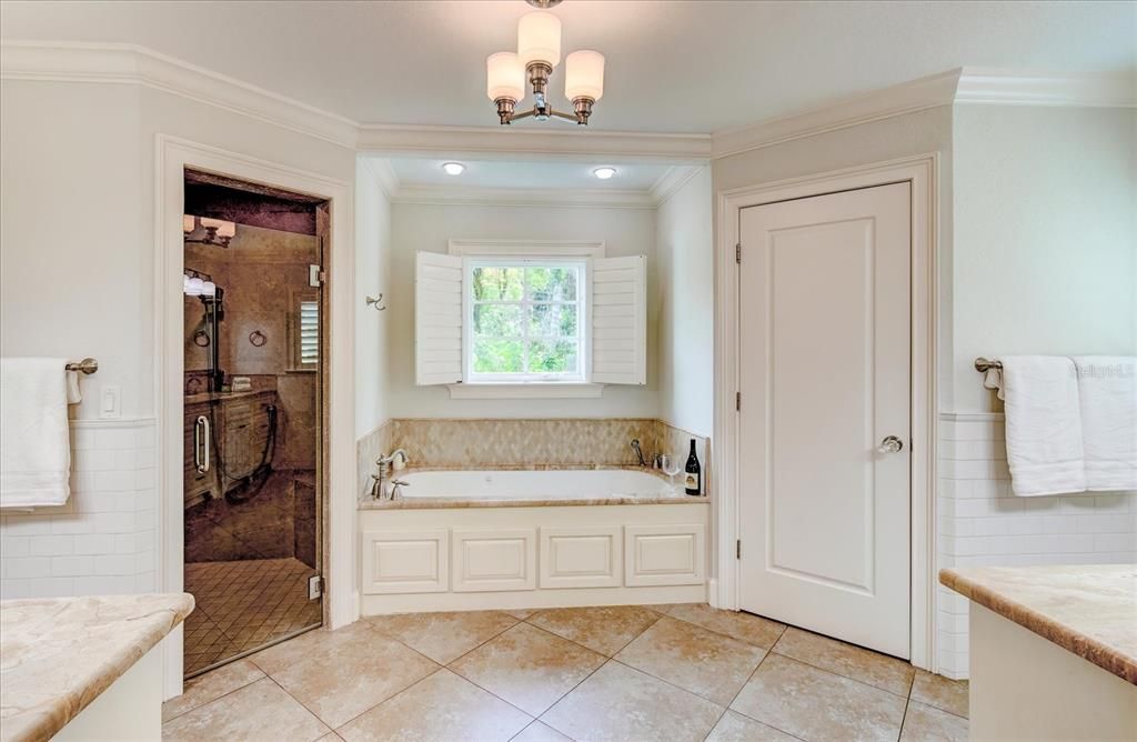 Master en suite bathroom with jacuzzi tub and separate shower.