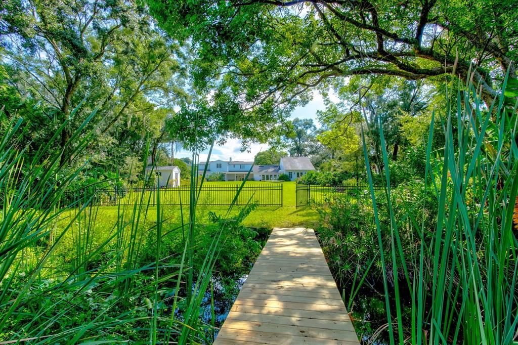 Tree canopy over your private dock.