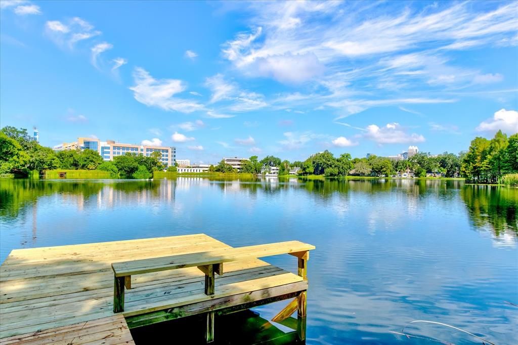 Watch the swans and water birds from your dock!