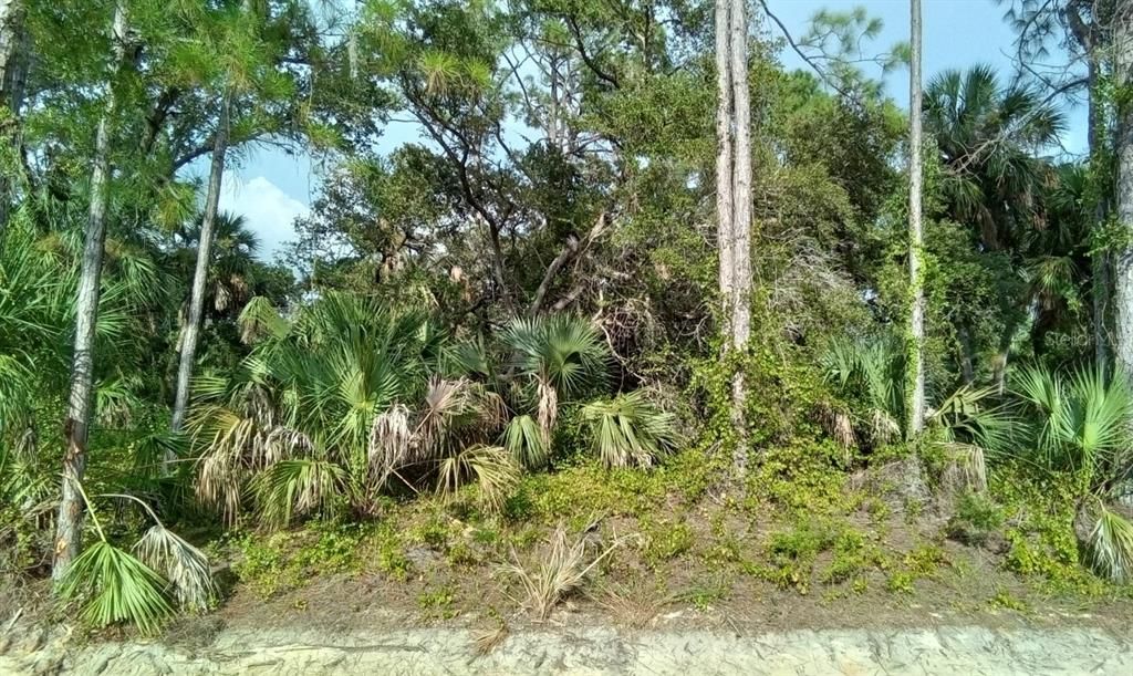 Vendido Recientemente: $18,500 (0.24 acres)