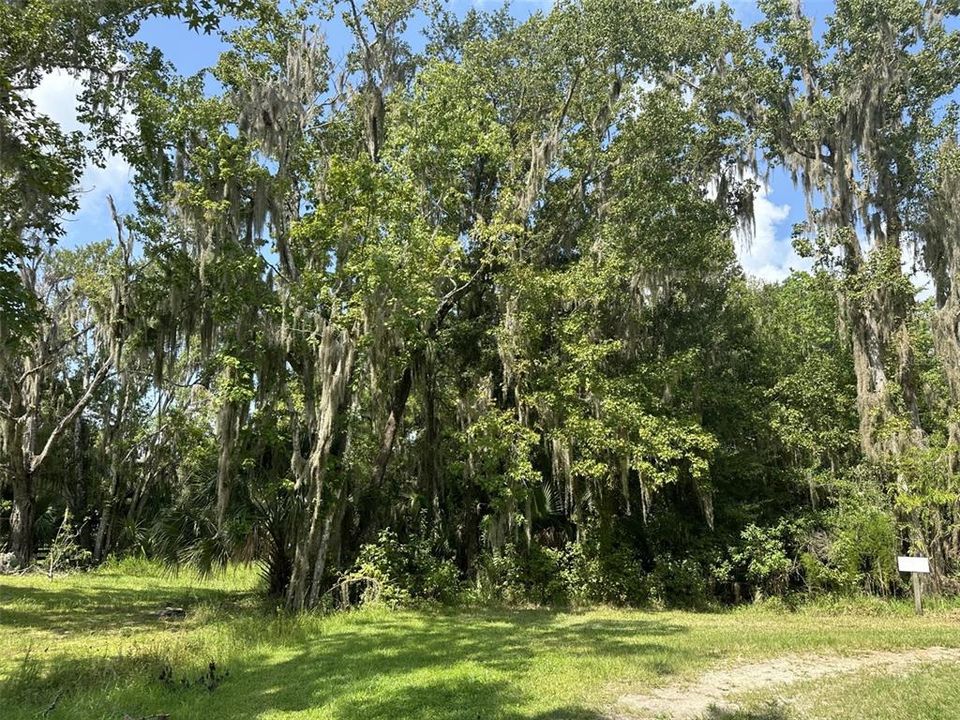 Recently Sold: $45,000 (0.30 acres)