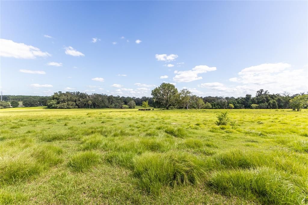 Recently Sold: $925,000 (40.00 acres)