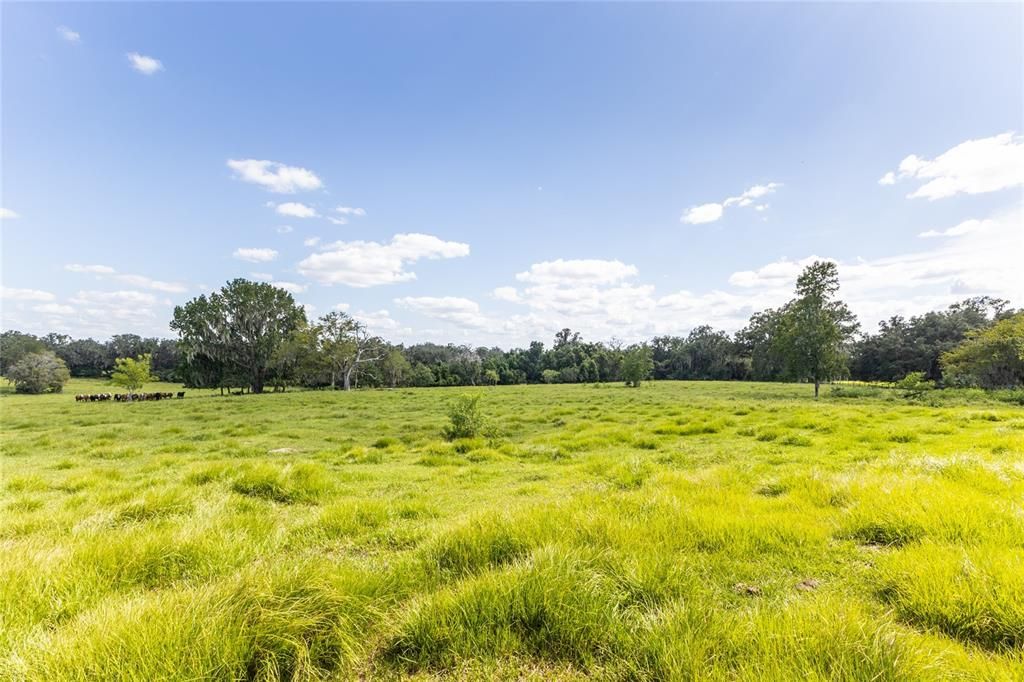 Recently Sold: $925,000 (40.00 acres)