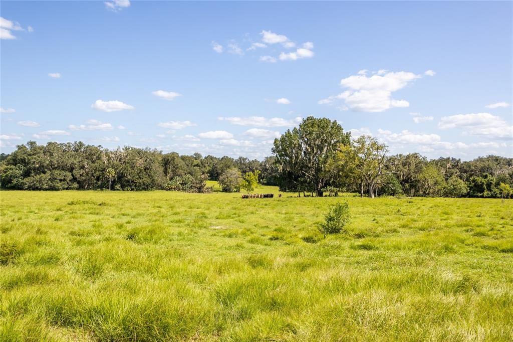 Recently Sold: $925,000 (40.00 acres)
