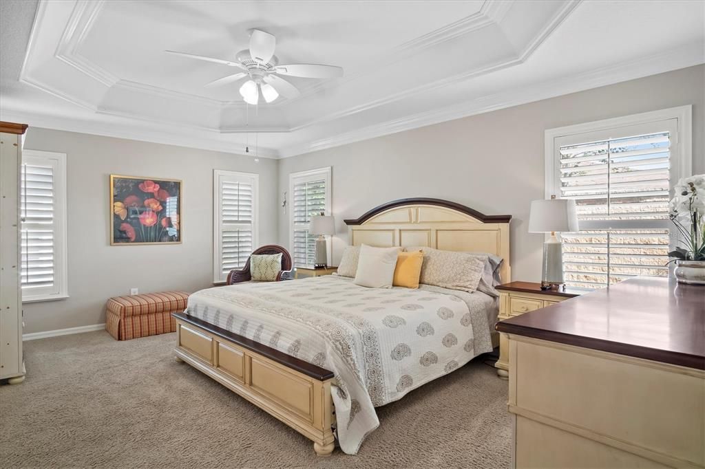 MASSTER BEDROOM IS EXPANSIVE WITH TRAY CEILINGS AND CROWN MOLDING