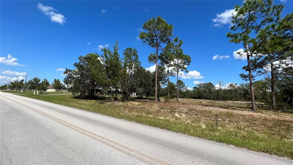 View of lot from road, looking towards 27