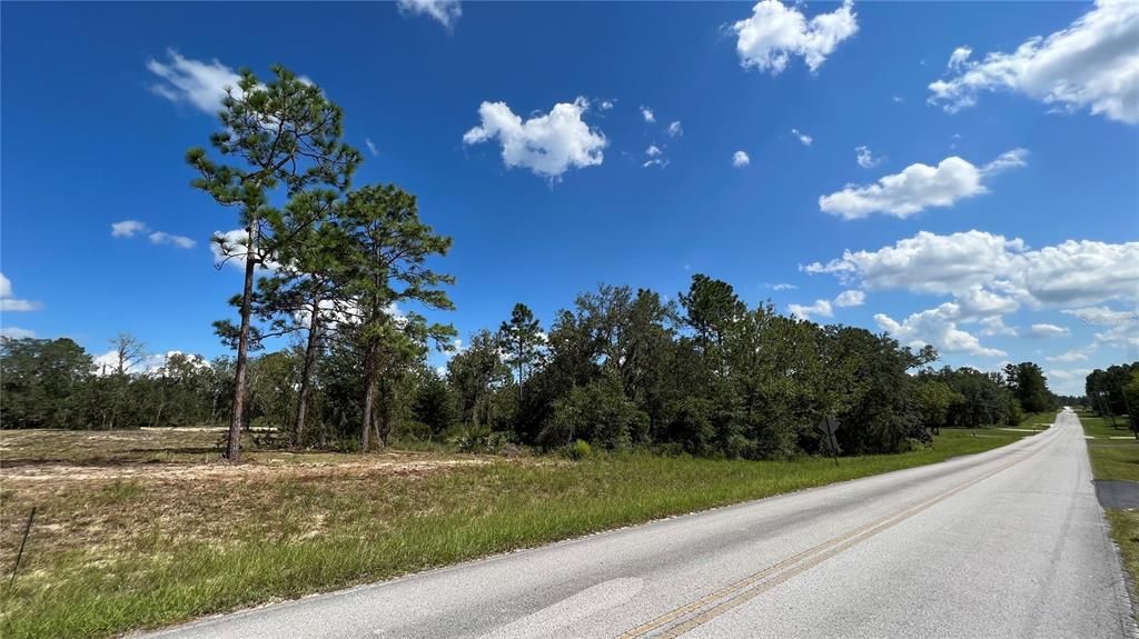 View of lot from road looking towards the end.  It turns into a dirt road and from the map shows it is a dead end.