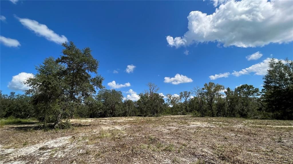 View of the interior of the lot, cleared and ready for your plans.