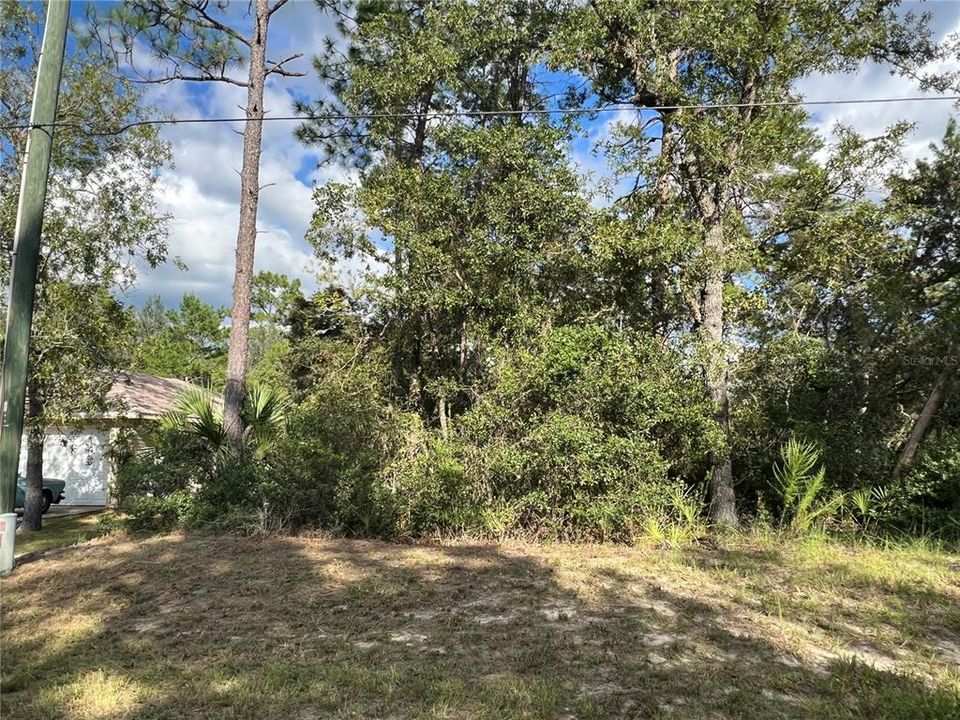 Recently Sold: $35,000 (0.23 acres)