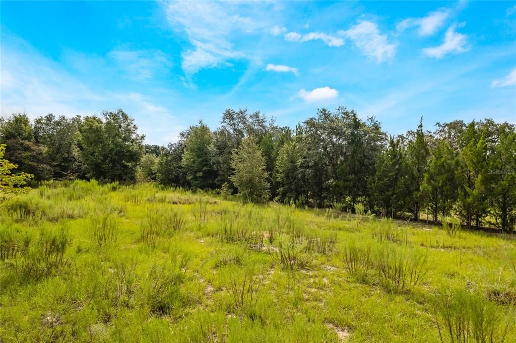 Недавно продано: $60,000 (1.09 acres)