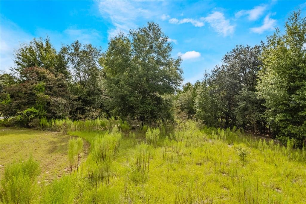 Недавно продано: $60,000 (1.09 acres)