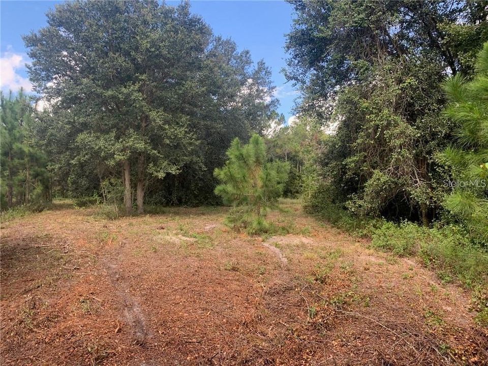 For Sale: $209,000 (5.01 acres)