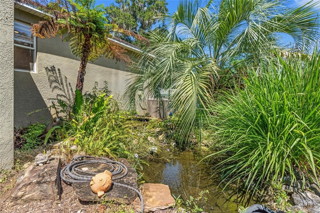 Small pond in the back yard w/ fish