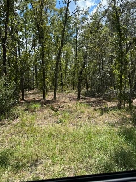 Recently Sold: $29,900 (0.25 acres)