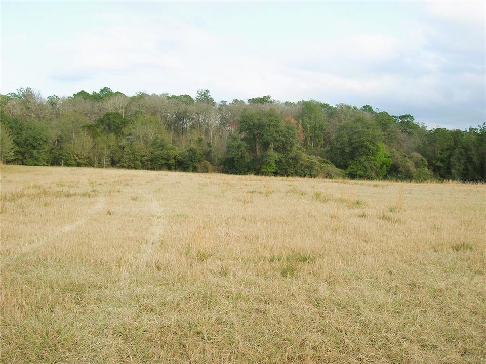 Active With Contract: $2,750,000 (270.00 acres)
