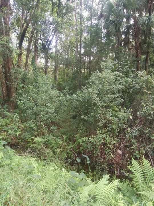 Недавно продано: $29,900 (0.72 acres)