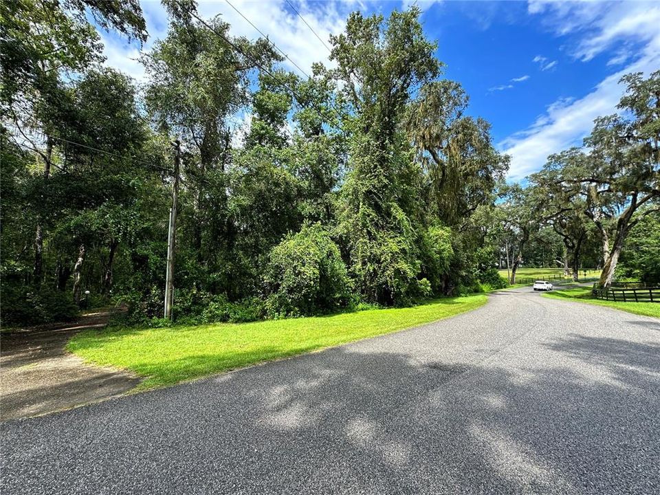 Left Front Corner of Property