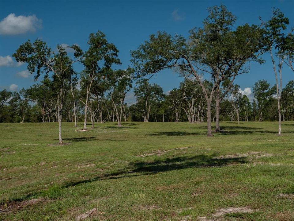 For Sale: $3,782,190 (54.42 acres)