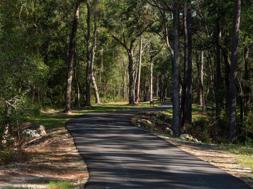 На продажу: $3,782,190 (54.42 acres)