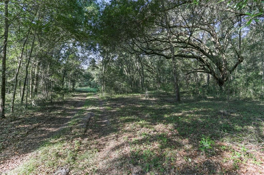 For Sale: $1,890,000 (80.00 acres)