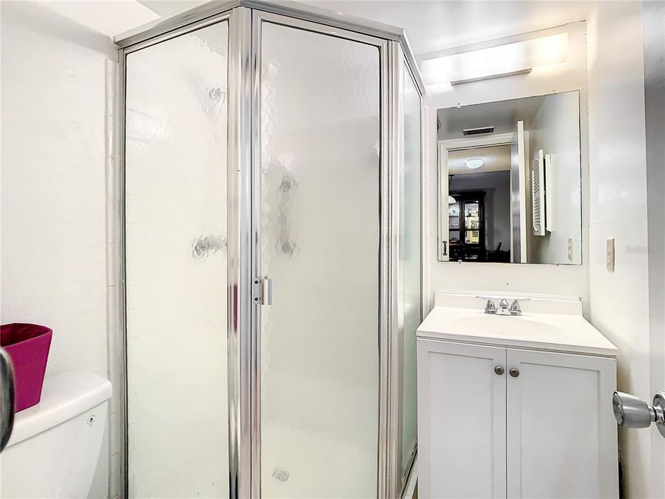 This is the guest bathroom with a shower