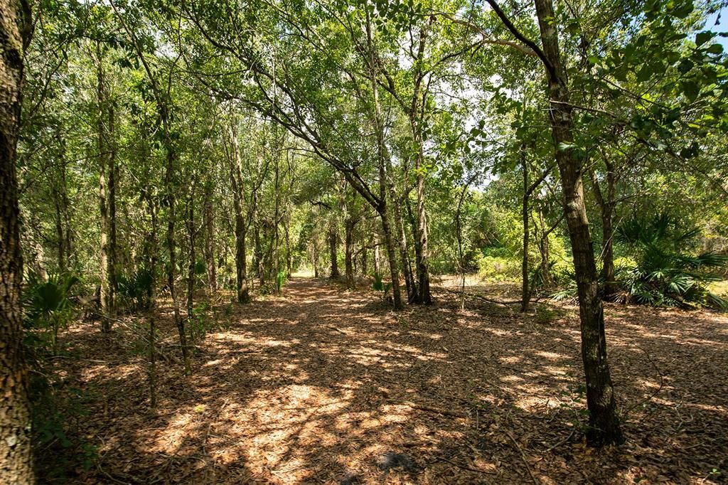 Vendido Recientemente: $200,000 (2.28 acres)