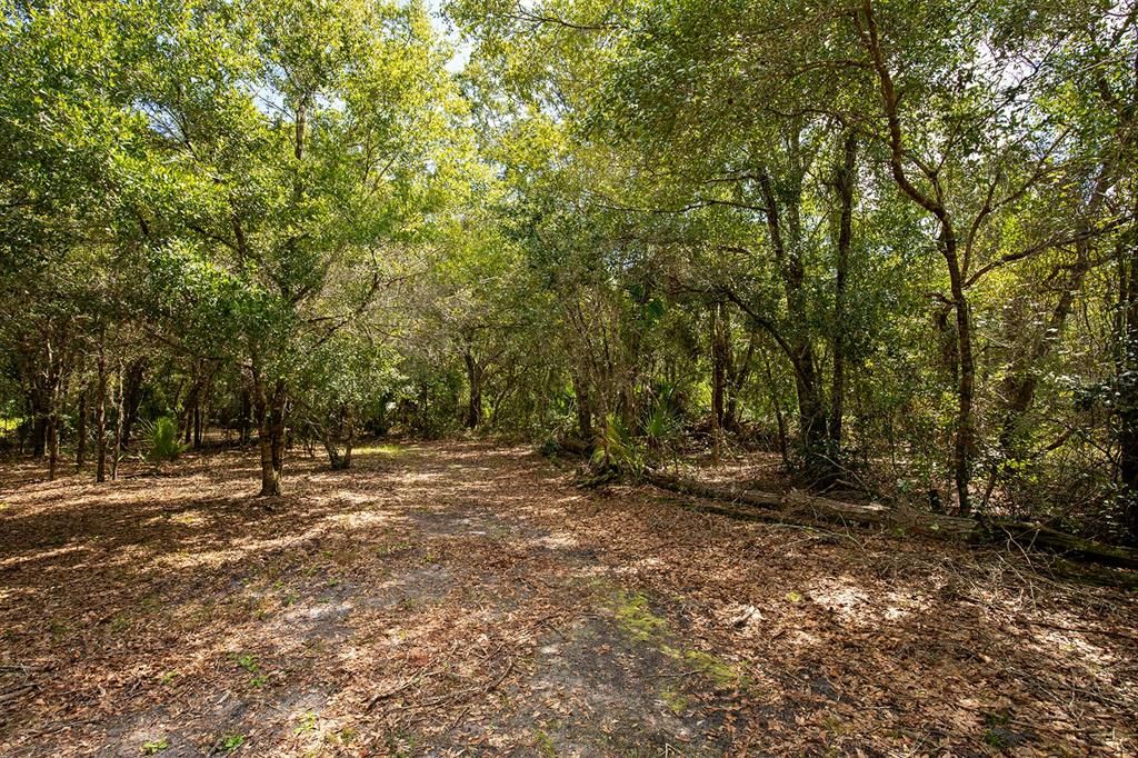 Vendido Recientemente: $200,000 (2.28 acres)