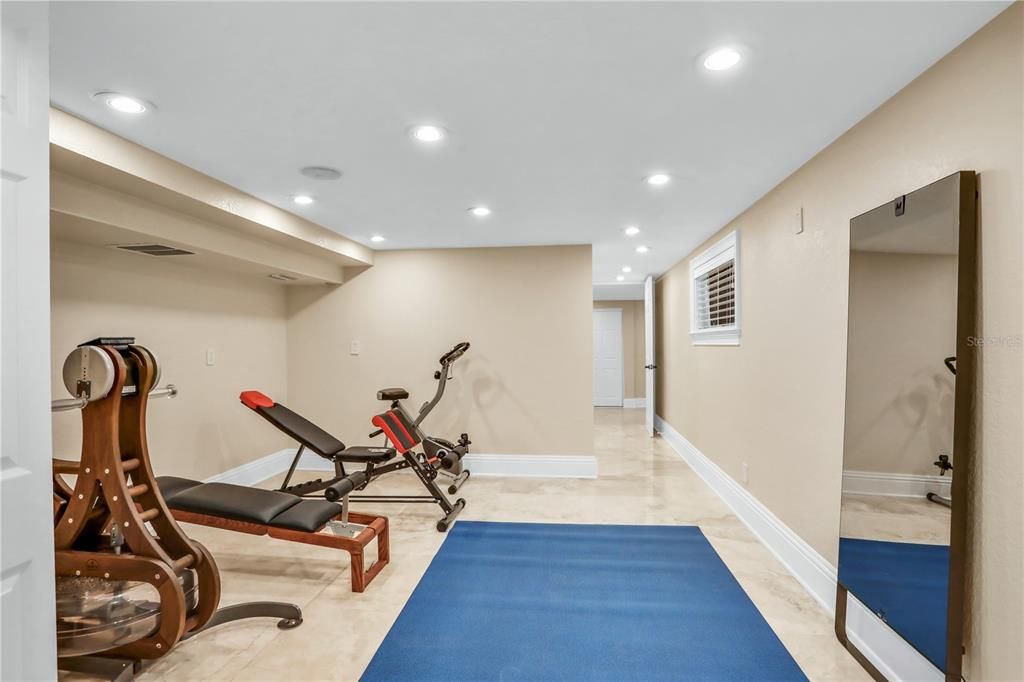 Gym / In-law Suite