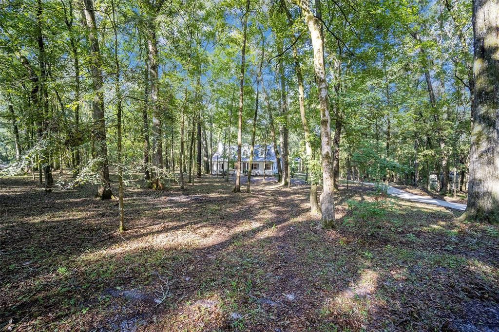 Front Elevation - Wooded Lot and Concrete Driveway