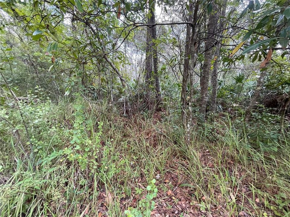 Recently Sold: $14,999 (0.35 acres)