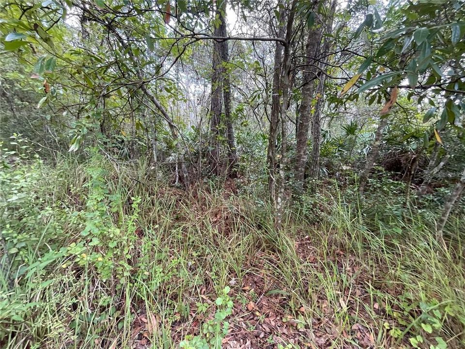 Vendido Recientemente: $14,999 (0.35 acres)