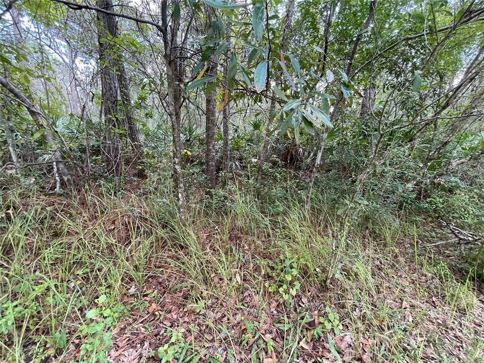 Recently Sold: $14,999 (0.35 acres)