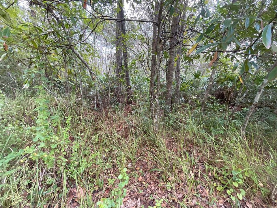 Recently Sold: $14,999 (0.35 acres)