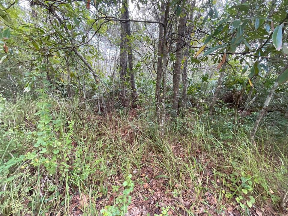 Vendido Recientemente: $14,999 (0.35 acres)