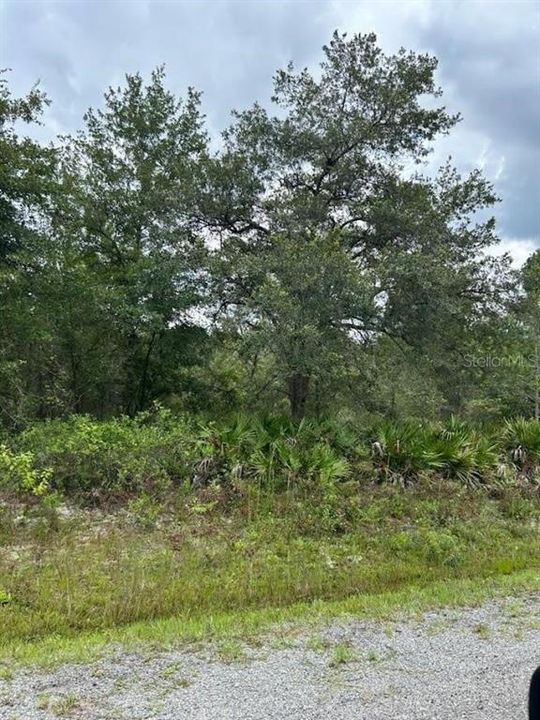 Recently Sold: $39,987 (1.14 acres)