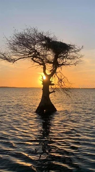 待售: $220,000 (0.10 acres)