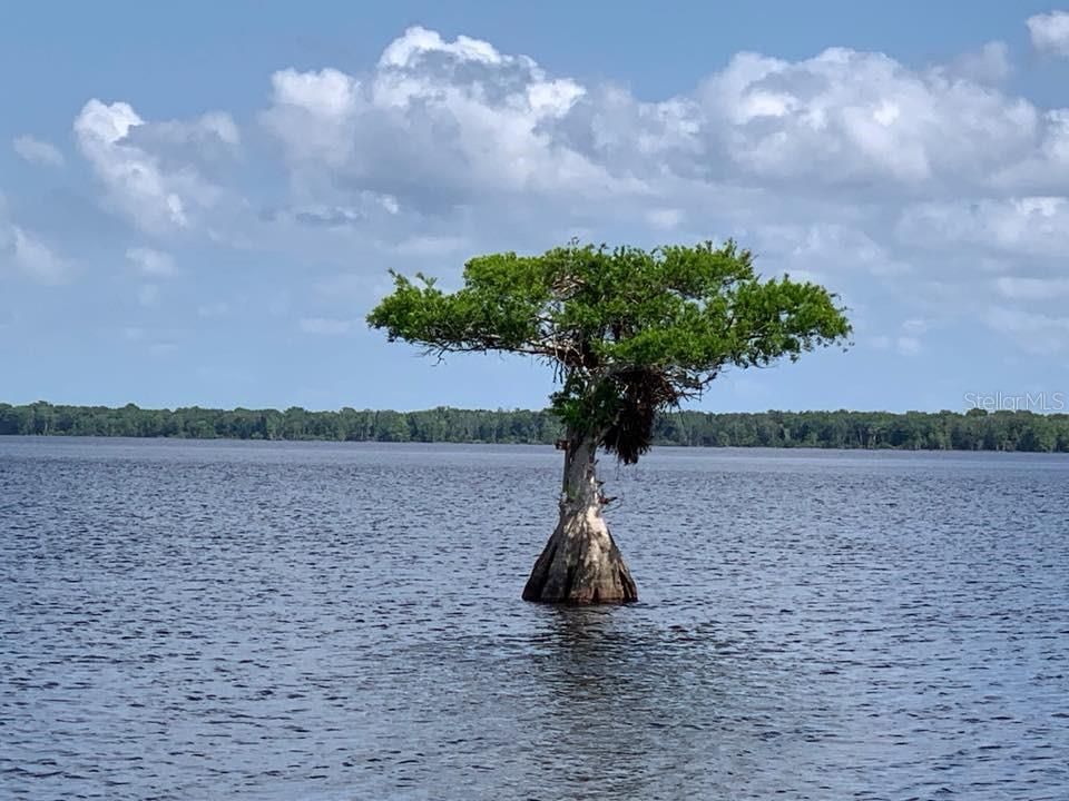 待售: $220,000 (0.10 acres)