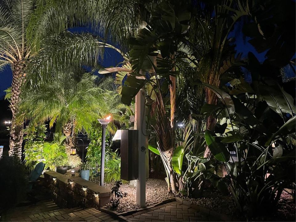 Enjoy evening hours of pleasure with the propane torch that creates ambient lighting on the palm fronds.