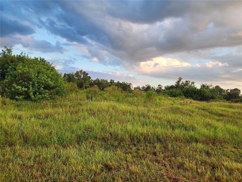 Recently Sold: $75,000 (1.20 acres)