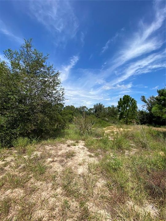 For Sale: $38,000 (0.32 acres)