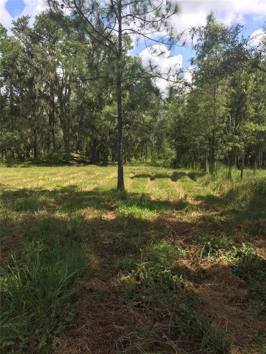 Recently Sold: $130,000 (14.89 acres)